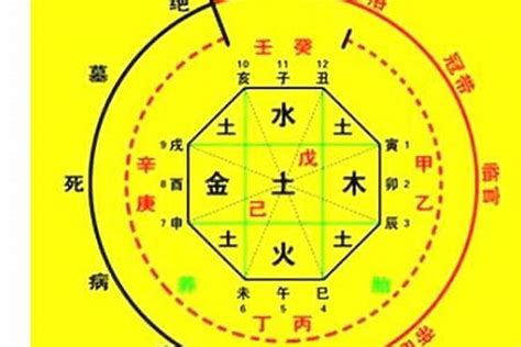 福德 八字|福德在八字命局中的含义（算命中的福德是什么意思）